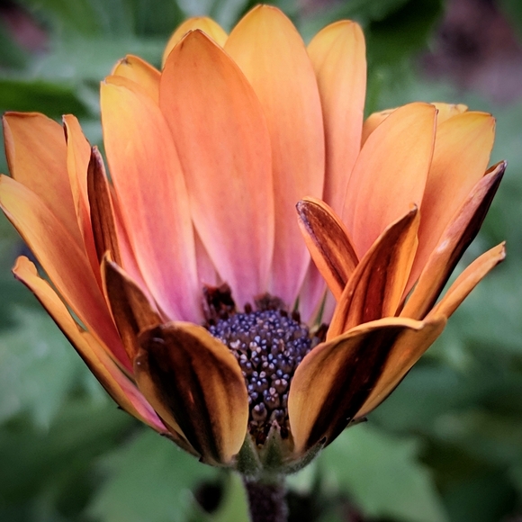 Meet your Posher, Jane - Picture 3 of 4